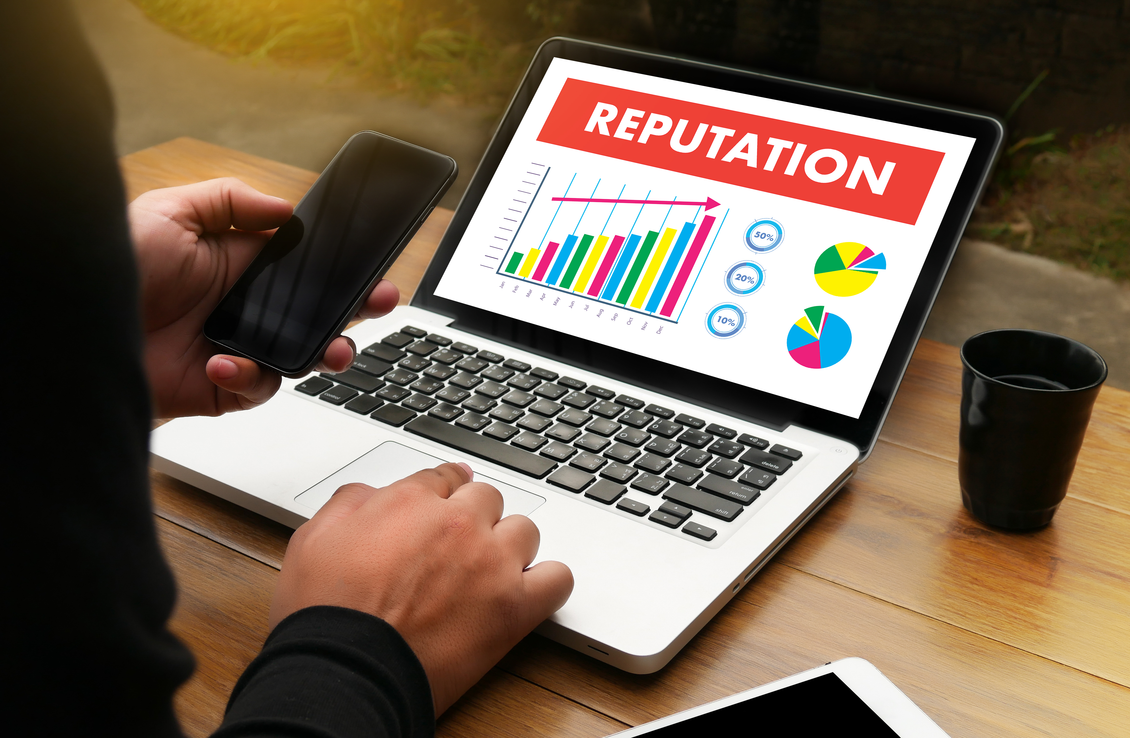 Image of a laptop displaying generic graphs and the word 'Reputation'